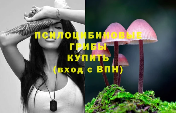 синтетический гашиш Богданович