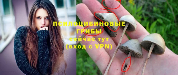 кристаллы Богородицк