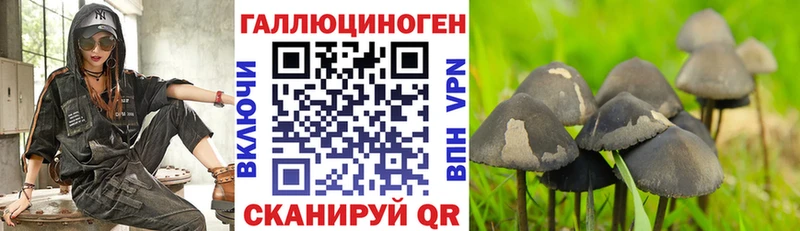 Купить  Кувандык  Галлюциногенные грибы прущие грибы 